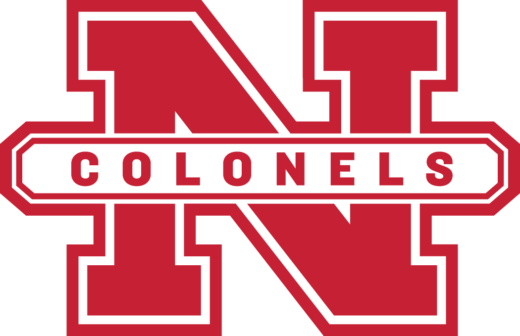 Nicholls State Colonels 2005-Pres Alternate Logo DIY iron on transfer (heat transfer)